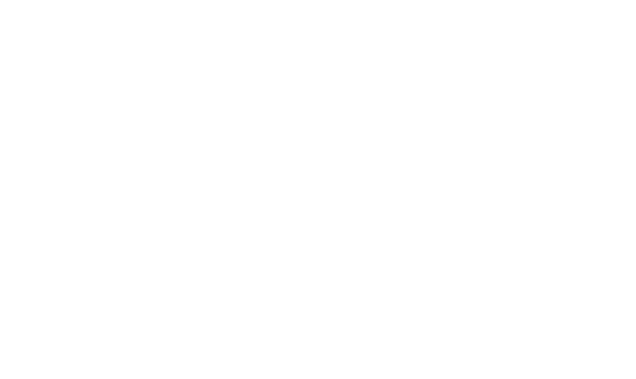 セガサミーフェニックス ロゴ